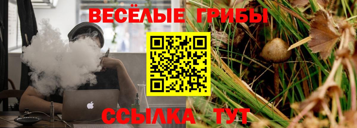 Галлюциногенные грибы GOLDEN TEACHER Усинск