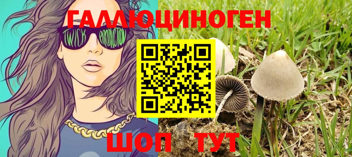 Усинск  Галлюциногенные грибы Psilocybine cubensis  Вход с VPN 